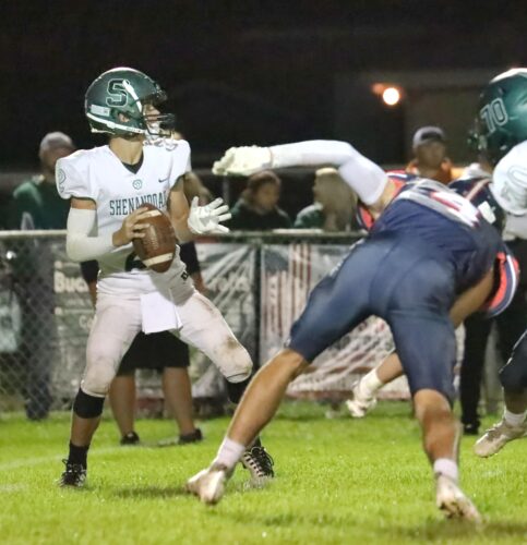 Zeps Bounce Back Against Panthers